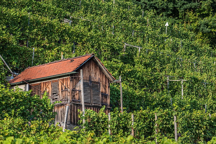vineyard, ludwigsburg germany, hut, vacation, scale, log cabin, brown