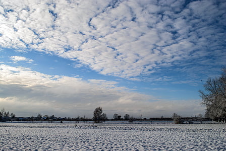 zimowe, śnieg, niebo, drzewo, biel, krajobraz, pole