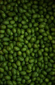Oliven, Landwirtschaft, Essen, Apulien, Grün, Oliva, Olivenhain