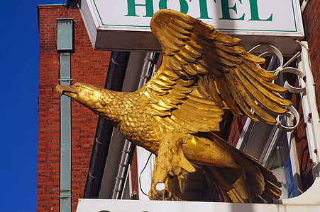 hotel, adler, gold, building, steeped in history