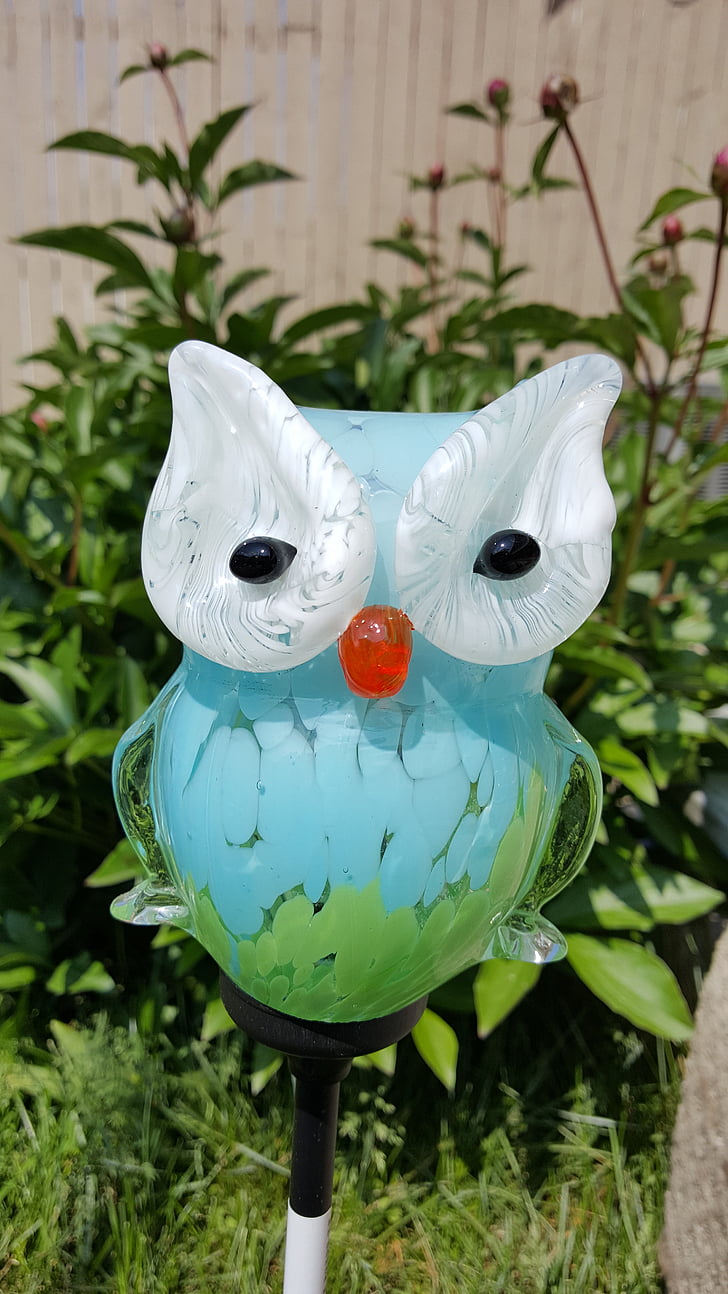 owl, sun, glass