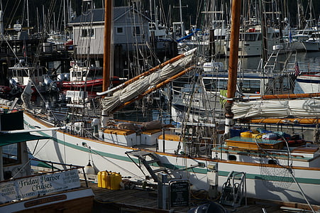 barca, Porto, acqua, Dock, stato di Washington, mare, trasporto