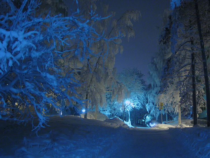 musim dingin, malam, lampu jalan, bayangan, warna biru, salju, embun beku