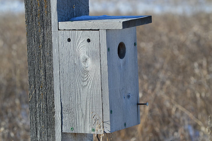 Domek dla ptaków, prerii, Natura, Saskatchewan, Kanada, drewno, drewniane