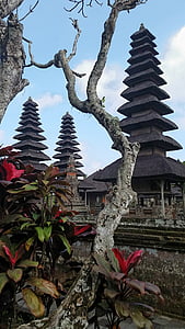 建筑, 巴厘岛, ayun, 寺