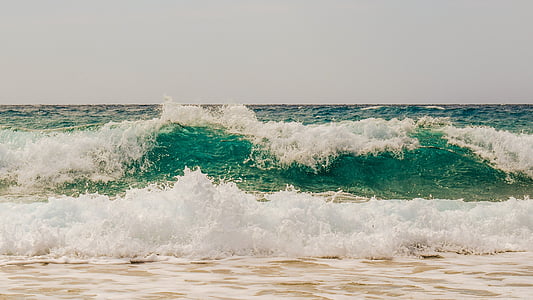wave, smashing, sea, nature, splash, spray, wind