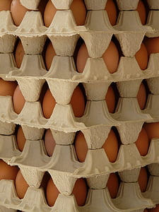 鸡蛋, 蛋盒, 食品, 背景, 棕色, 模式