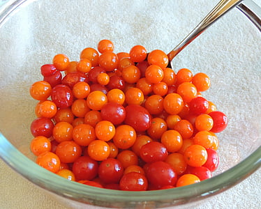 Cherry tomāti, sarkana, oranža, tomāti, Ķirsis, Nogatavojies, bioloģiskās lauksaimniecības