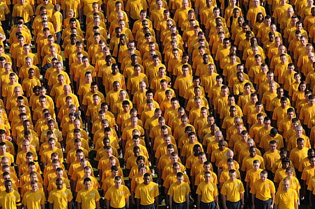 gruppe, folk, gul, skjorte, svart, bukser, forming
