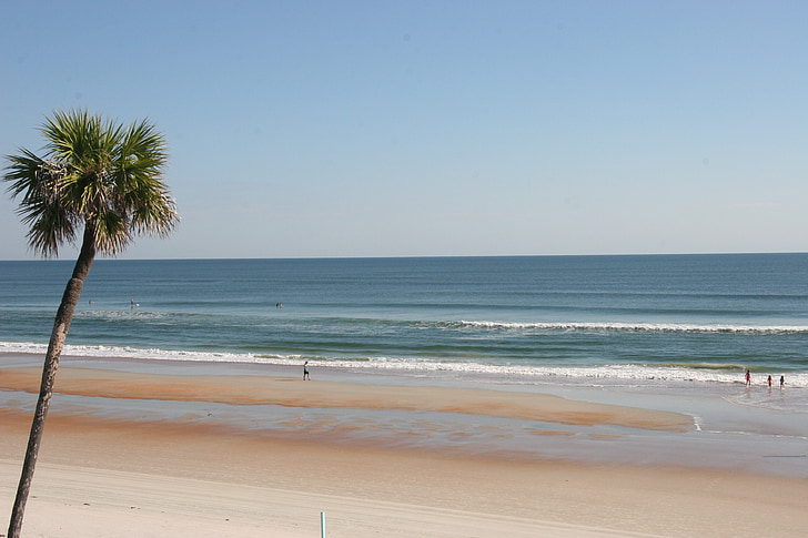 praia, oceano, Palm, árvore, ondas, Golfo, Shores