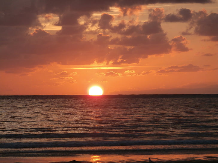 sunset, sun, sea, beach, nature, summer, dusk