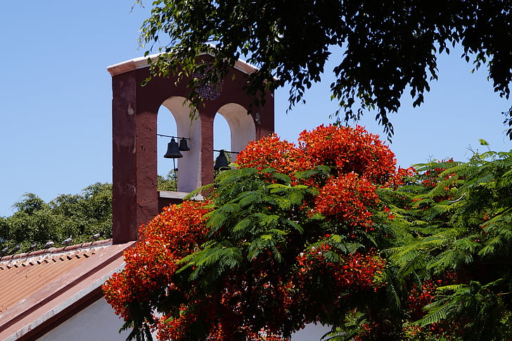 kerk, Spanje, Tenerife, Kapel, Santa cruz, klokken, klokkentoren