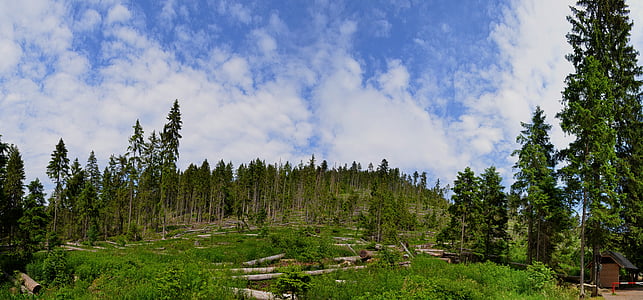 landschap, natuur, bos, wolken, Polom, Šumava