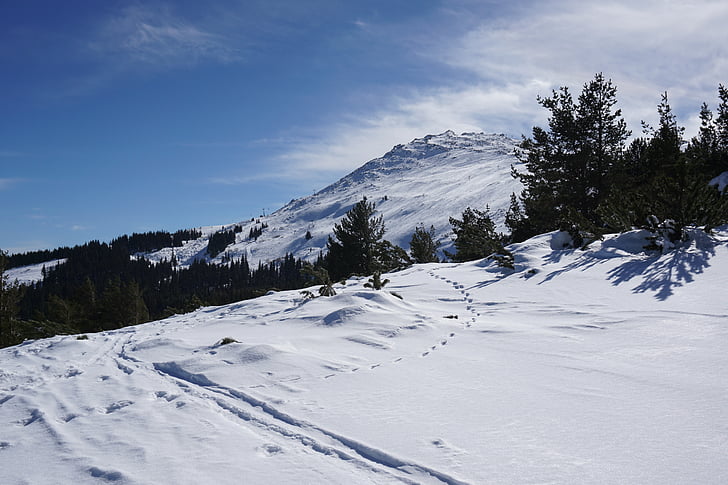 Vitosha, Sofija, Bulgarija, didžiausia, sniego, žiemą, kalnų