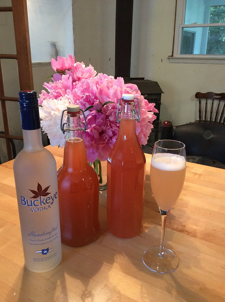 rhubarb cordials, home-brew, summer holidays