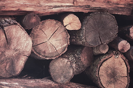 дървен материал, Куфари, Есен, Пролет, лято, зимни, огън