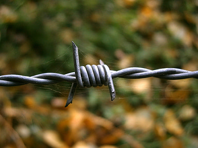 barbed wire, wire, cobweb, cobwebs, pointed, security, fence