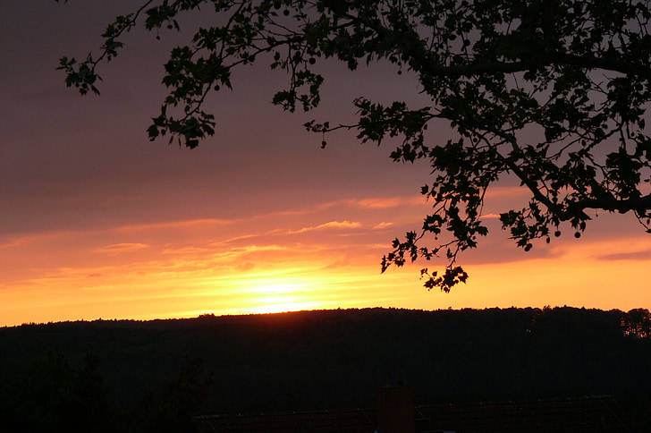 günbatımı, Günbatımında ağacında Şube, Dusk, Gök rengi, Akşam gökyüzü, abendstimmung, romantik