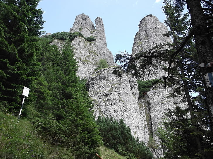 pedra, Romênia, montanha, Turismo, viagens, paisagem, natureza