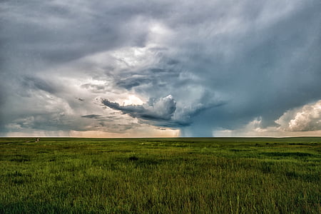 paisagem, Mongólia, Horizon, tempestade, estepe, Dornod, campo