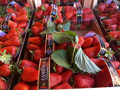 jordbær, markedet, frukt, søt, deilig, vitaminer, Sommer