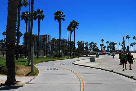 Santa monica, California, közúti, bringa pálya, pálmák, Beach