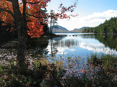 maine, eagle lake, water, reflections, forest, trees, mountains