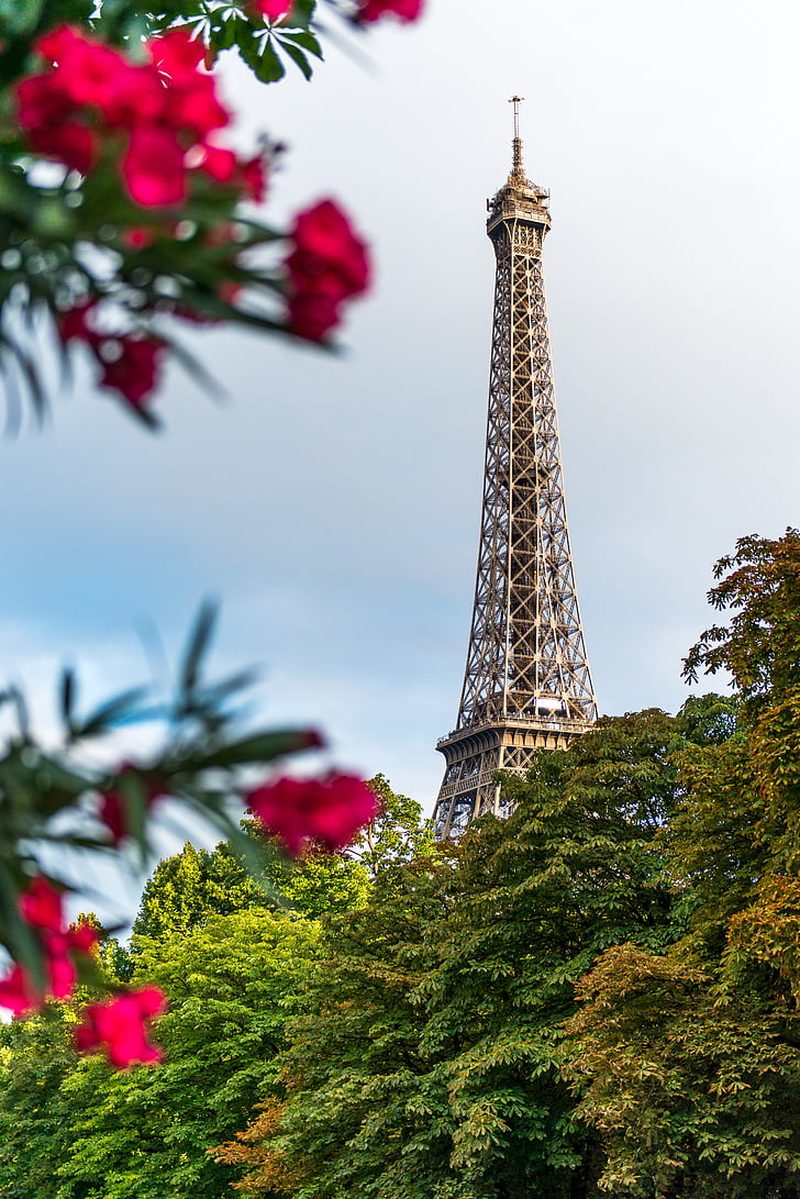 Эйфелева башня, Франция, Ориентир, Париж, растения, достопримечательность, Башня