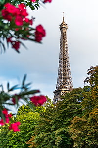 eiffel tower, france, landmark, paris, plants, tourist attraction, tower