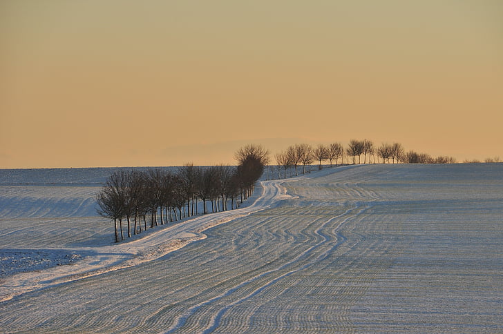 hüpstedt, взимку, краєвид, освітлення, дерева, зимового, сніг