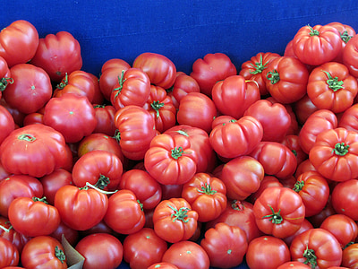 tomates, légume, alimentaire, rouge, en bonne santé, organique, aliments sains