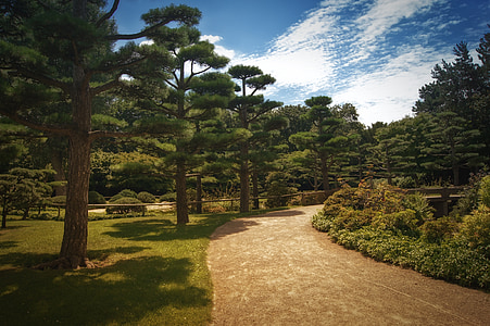 Hintergrund, japanischer Garten, entfernt, Bäume, Himmel, Blau, Grün