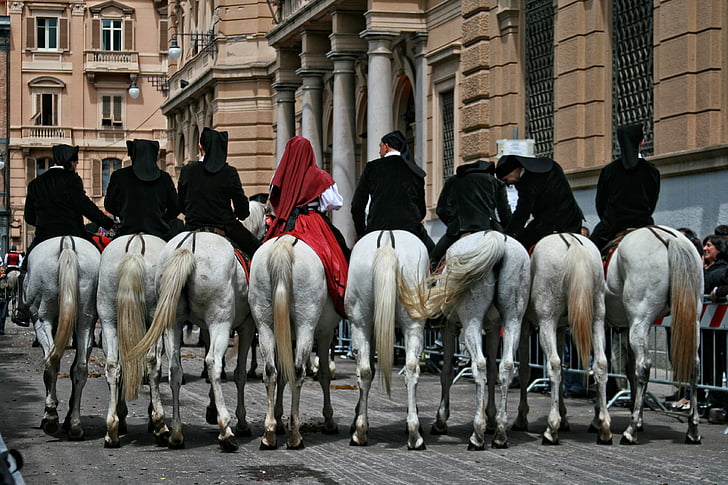 Italien, Sardinien, Cagliari, folklore, häst, djur, kulturer