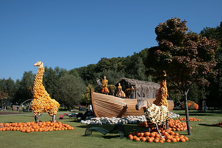 thanksgiving, september, pumpkin, sun, autumn, vegetables, harvest