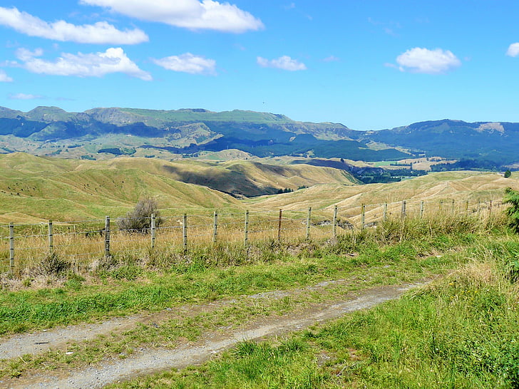 kraštovaizdžio, Naujoji Zelandija, dangus, kelionės, peizažas, debesys, žalia