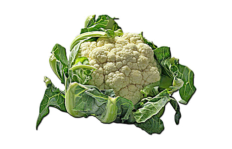 cauliflower, kohl, cheese cabbage, flowering cabbage, grape cabbage, minaret cabbage, italian cabbage