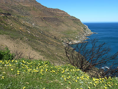 Republika Południowej Afryki, morze, Hout bay, Półwysep przylądkowy, Natura, Ocean, pelzrobbe