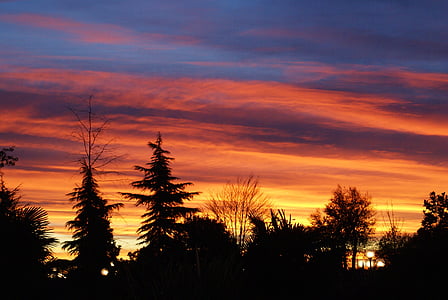 obloha, Příroda, krásná krajina, Západ slunce, soumraku, oranžová barva, strom