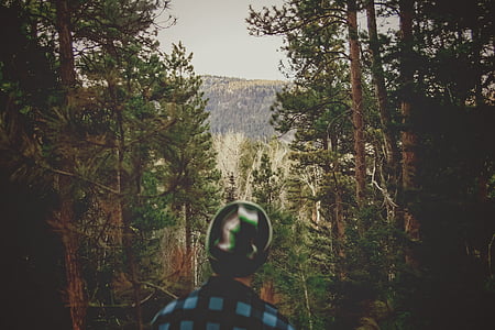 Foto, muž, Woods, Forest, stromy, Príroda, vonku