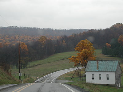 podeželski cesti, padec, gozd, jeseni, narave, cesti, drevo