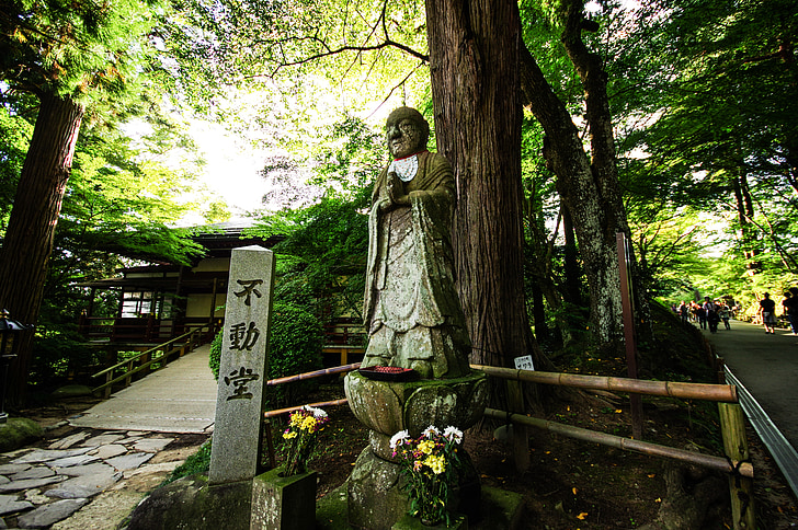 misterioso, Statua di Buddha, montagna, Giappone, naturale, luce, boschi