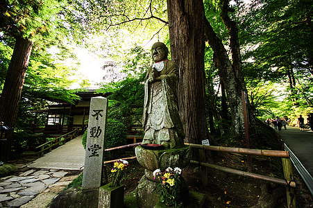 mysterieuze, Boeddhabeeld, berg, Japan, natuurlijke, licht, Woods