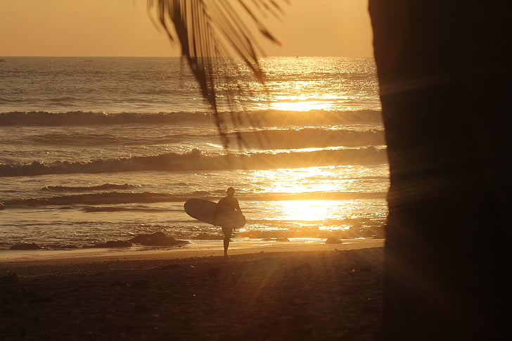 solnedgang, stranden, sand, surfer, surfebrett, bølger, vann