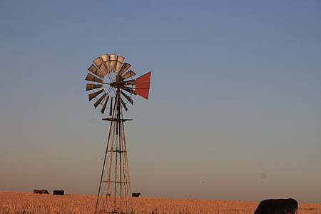 vējdzirnavas, Dienvidāfrikas Republika, zeme, saulriets, lauku