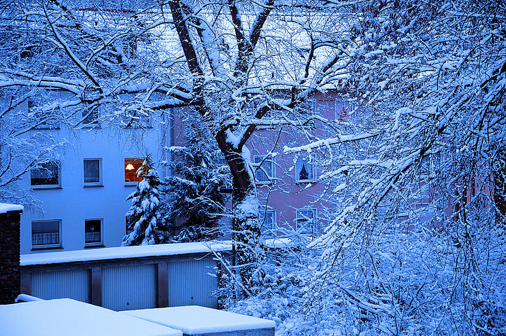 зимни, сняг, дървета, Домашно огнище, гаражи, Рурска област, задния двор
