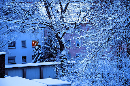 zimné, sneh, stromy, Domov, garáže, Porúria, Backyard