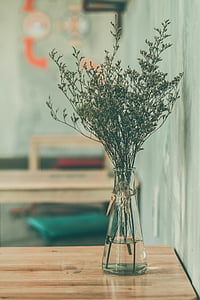 flower, plant, glass, water, vase, wooden, table