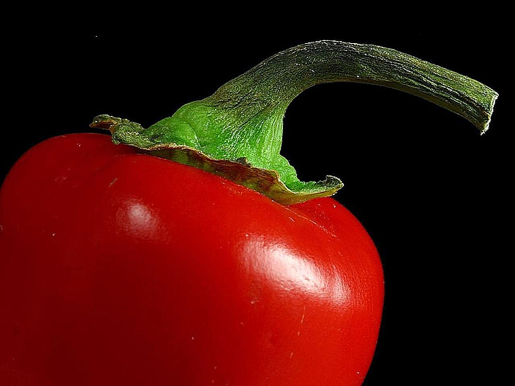 stems, red, peppers, pepper, vegetables, plants, flora