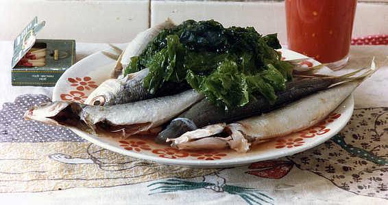 ψάρια, κουζίνα, συνταγές
