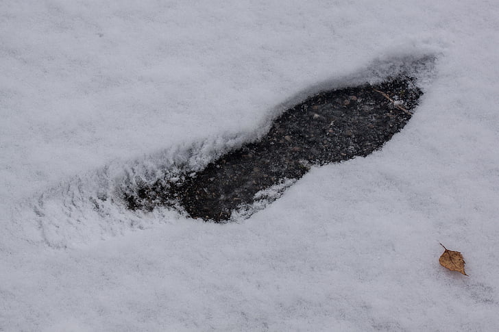zăpadă, Noua Zeelandă, iarna, alb, negru, gudron, asfalt
